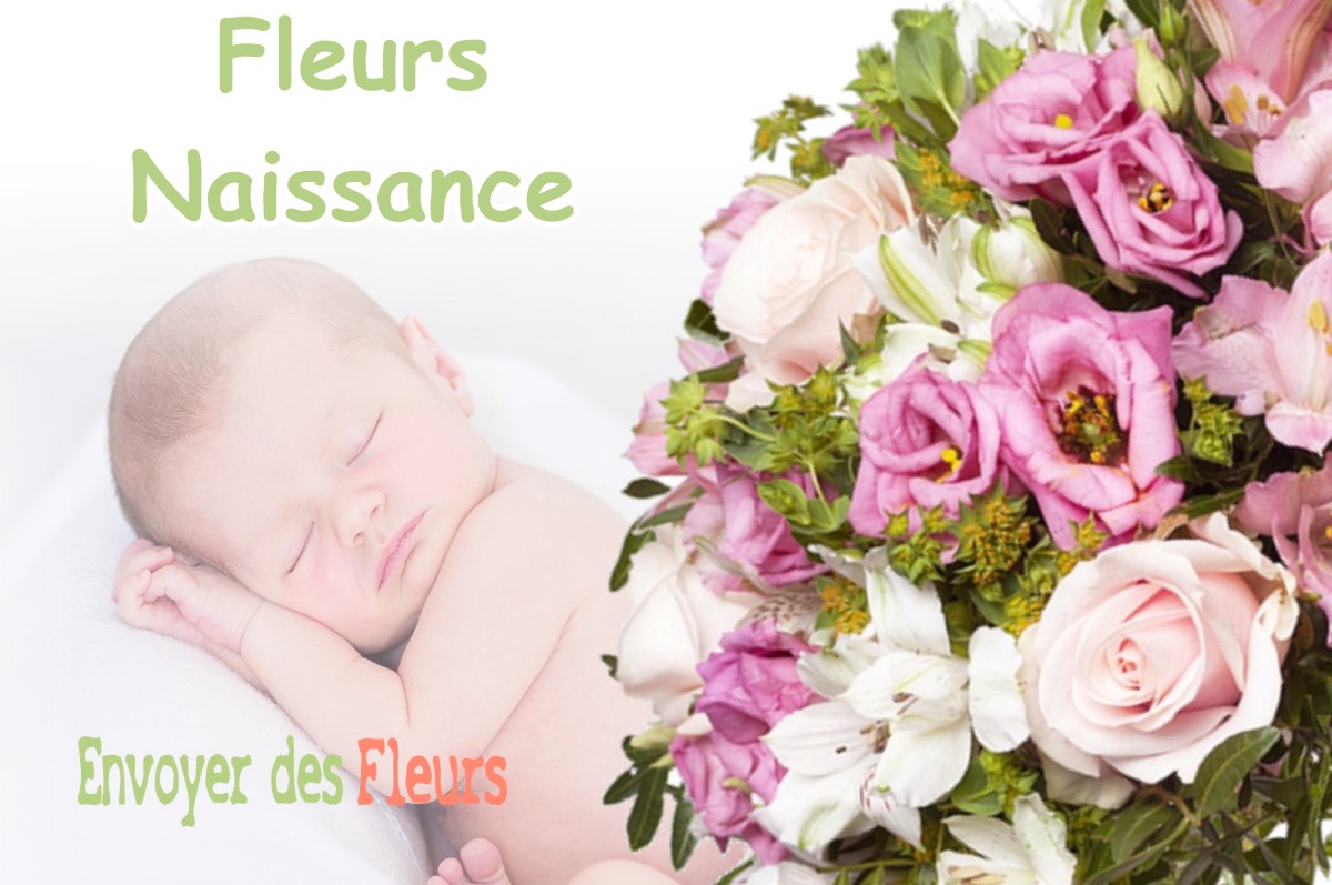 lIVRAISON FLEURS NAISSANCE à AROMAS